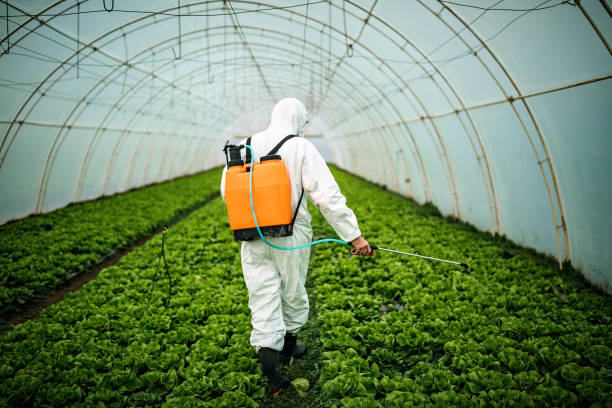 Best Pest Control for Restaurants  in Burney, CA