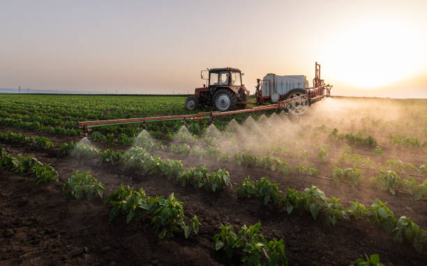 Best Insect Control  in Burney, CA