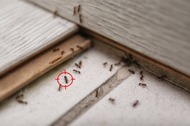 Best Wildlife Control Services  in Burney, CA