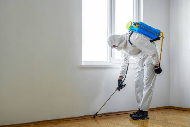 Trusted Burney, CA Pest Control Experts