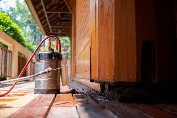 Best Mosquito Control Services  in Burney, CA