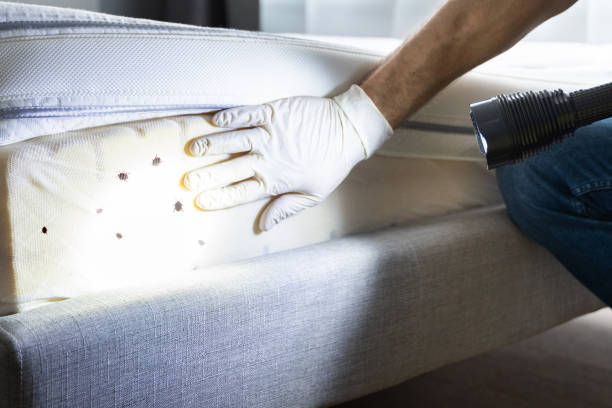 Wildlife Control Services in Burney, CA